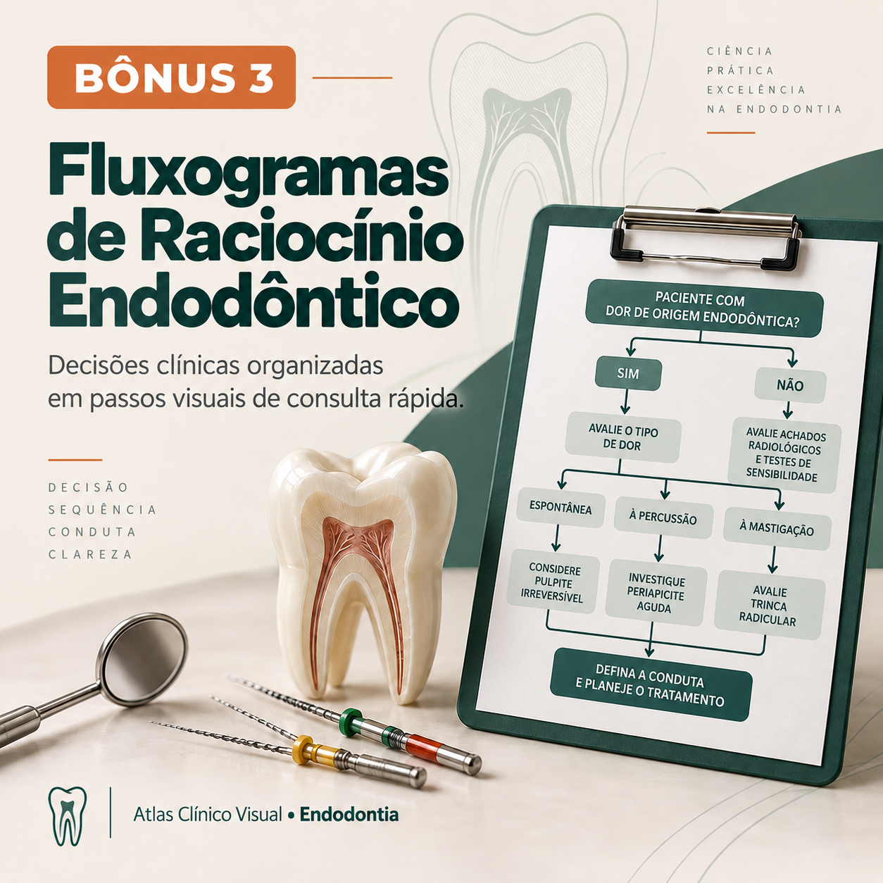 Fluxogramas de Raciocínio Endodôntico
