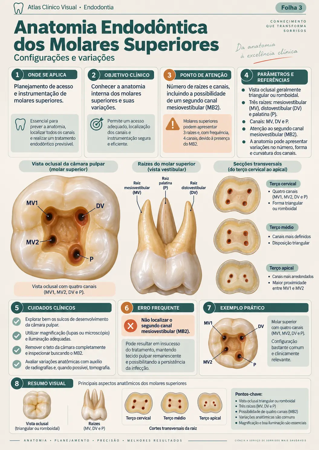 Exemplo de mapa clínico visual de endodontia